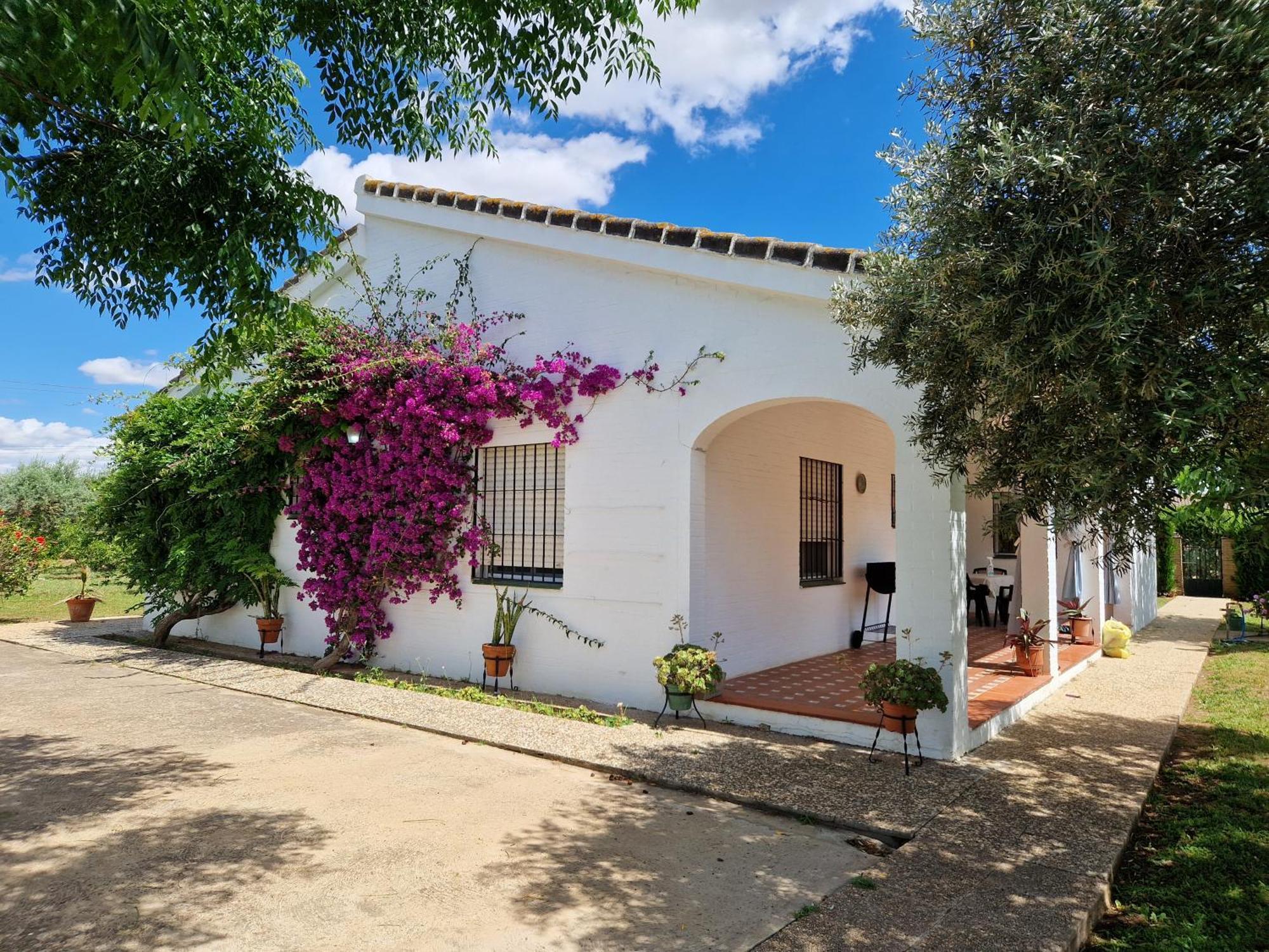 Casa En El Campo Cerca De Sevilla La Rinconada Luaran gambar